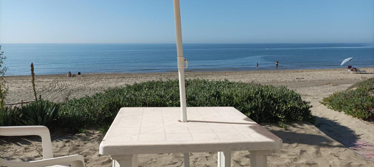 Casina Sulla Sabbia Appartement Torvaianica Buitenkant foto